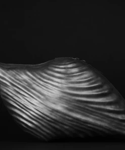 KOFTA Fasciolaria Tulipa Leather Clutch