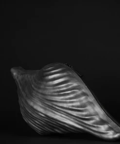 KOFTA Fasciolaria Tulipa Leather Clutch